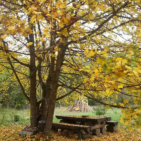 Staparski Sorrento * Užice