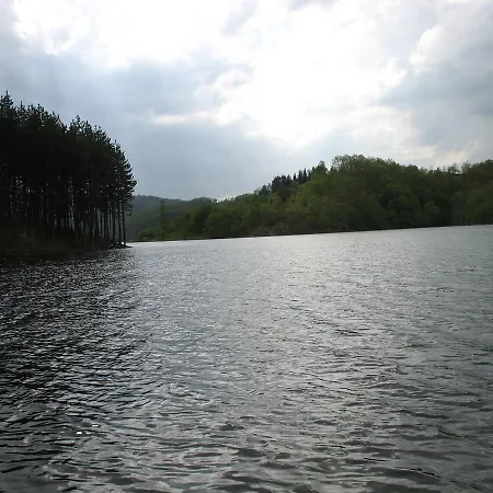 Staparski Sorrento * Užice