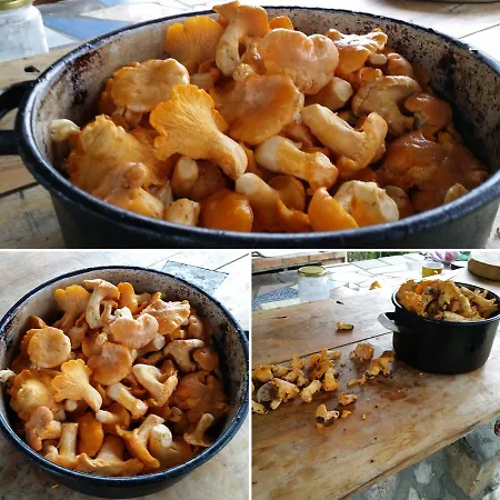 Staparski Sorrento Užice